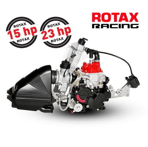 Rotax 125 Junior Max Engine EVO