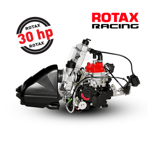 Rotax 125 Senior Max Engine EVO