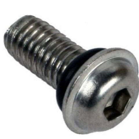 DWT Wheel Beadlock Screw 10mm & Oring