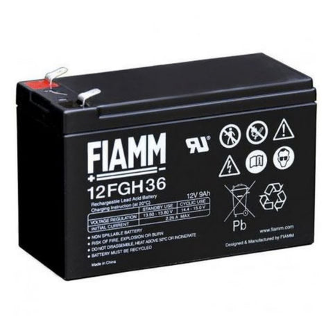 IAME Battery Genuine - 12V