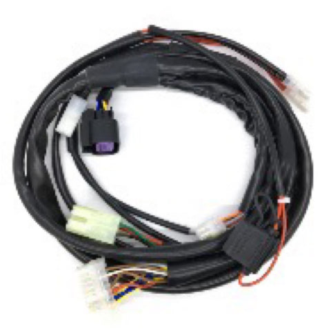 IAME Wiring Loom Selettra (Black Stator Plug)