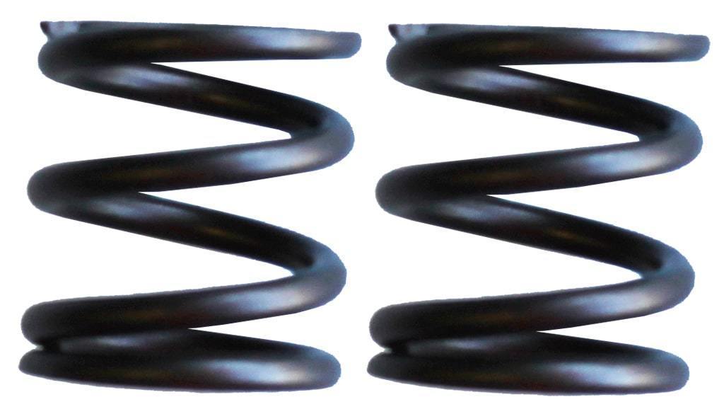 Torini Valve Springs - Clubmaxx