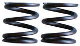Torini Valve Springs - Supermaxx